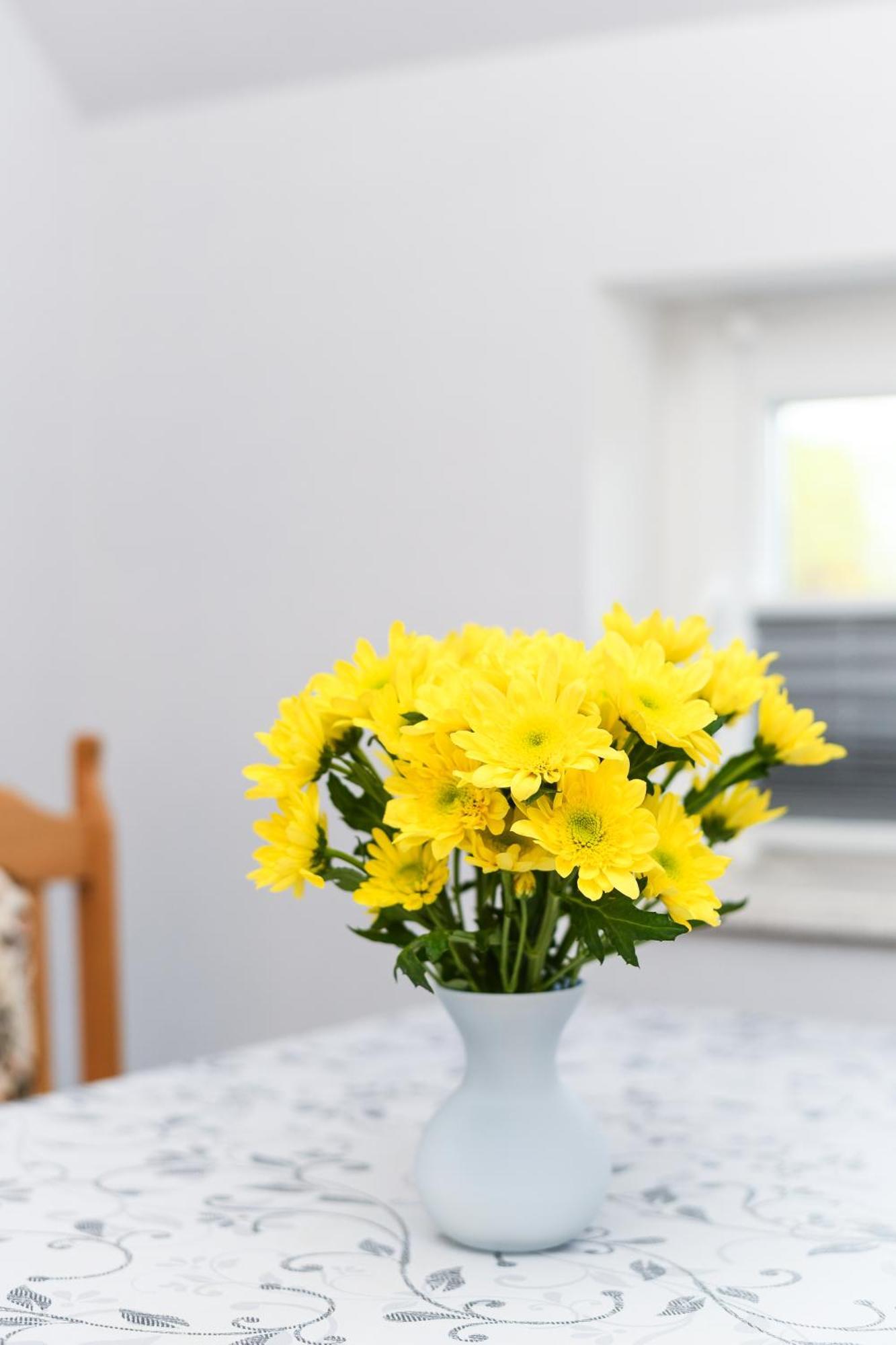 Ferienwohnung Nordmoor Blomberg  Εξωτερικό φωτογραφία